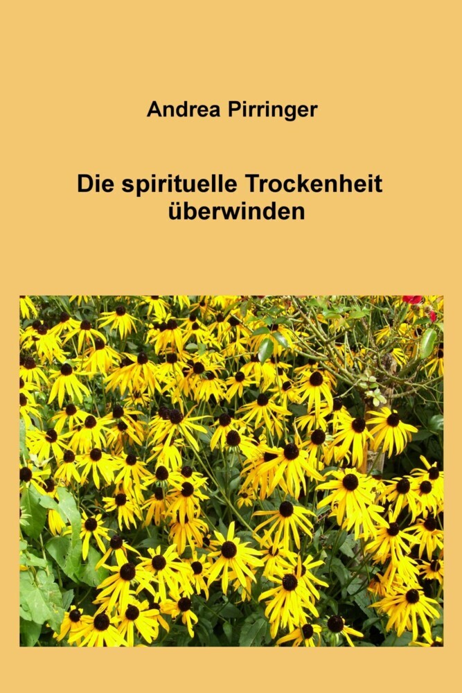 Die spirituelle Trockenheit überwinden main product photo