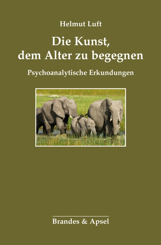Die Kunst, dem Alter zu begegnen main product photo