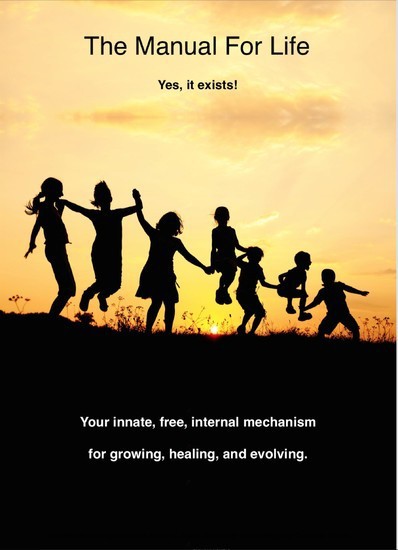 The Manual for Life main product photo