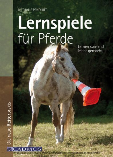 Lernspiele für Pferde main product photo