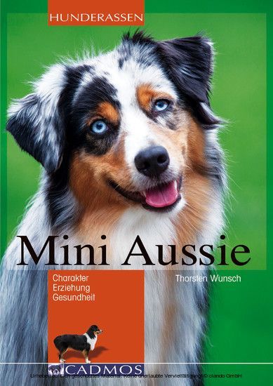 Mini Aussie main product photo