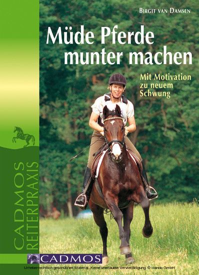 Müde Pferde munter machen main product photo