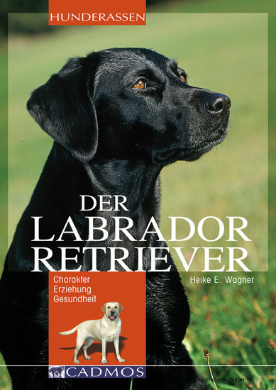 Labrador Retriever main product photo