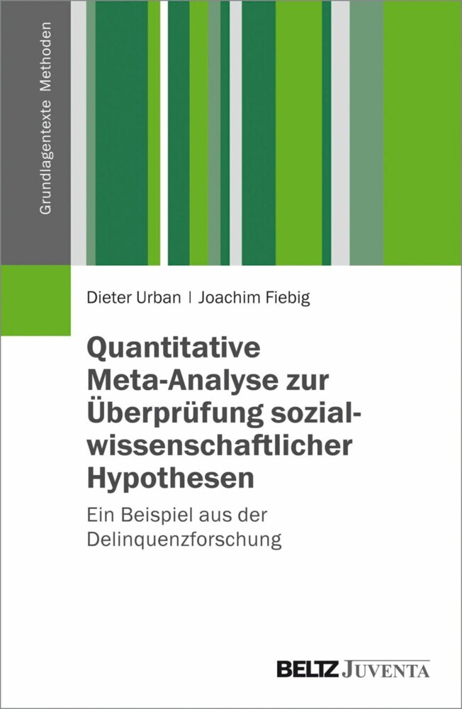 Quantitative Meta-Analyse zur Überprüfung sozialwissenschaftlicher Hypothesen main product photo