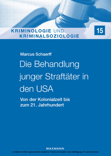 Die Behandlung junger Straftäter in den USA main product photo