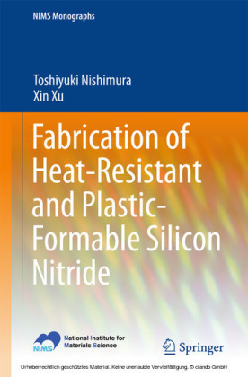 Fabrication of Heat-Resistant and Plastic-Formable Silicon Nitride