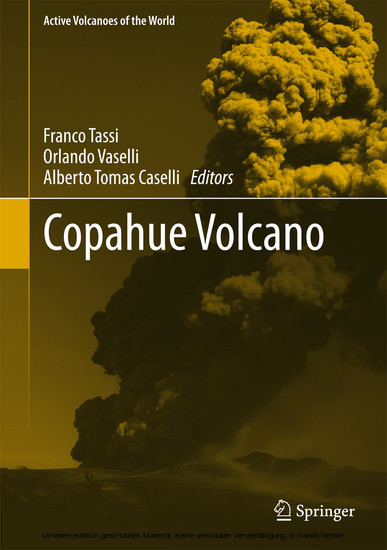 Copahue Volcano main product photo