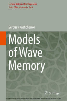Models of Wave Memory