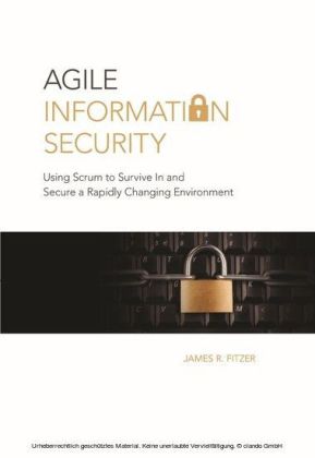 Agile Information Security
