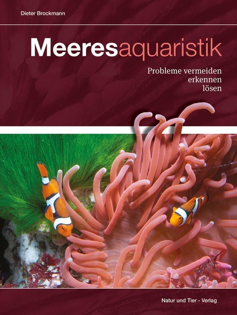 Meeresaquaristik main product photo