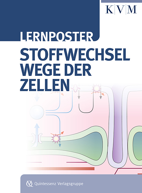 Lernposter Stoffwechselwege der Zellen main product photo