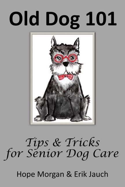 Old Dog 101 - Tips & Tricks for Senior Dog Care main product photo