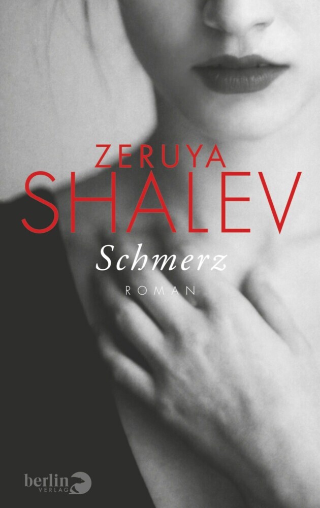 Schmerz main product photo