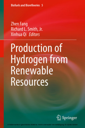 Production of Hydrogen from Renewable Resources