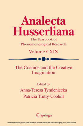 The Cosmos and the Creative Imagination