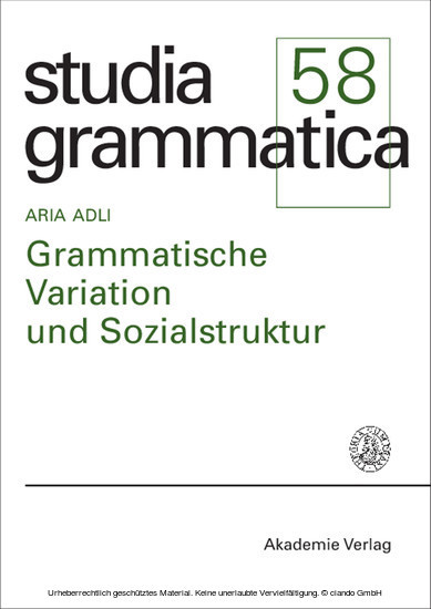 Grammatische Variation und Sozialstruktur main product photo