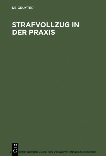 Strafvollzug in der Praxis main product photo