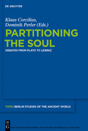 Partitioning the Soul