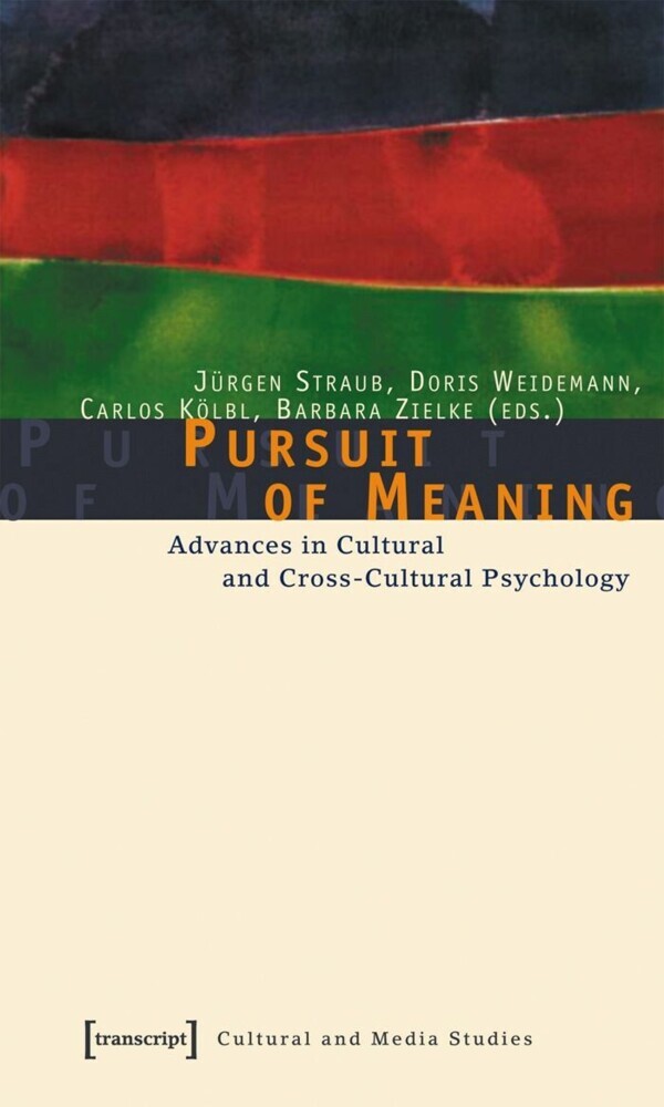 Pursuit of Meaning main product photo