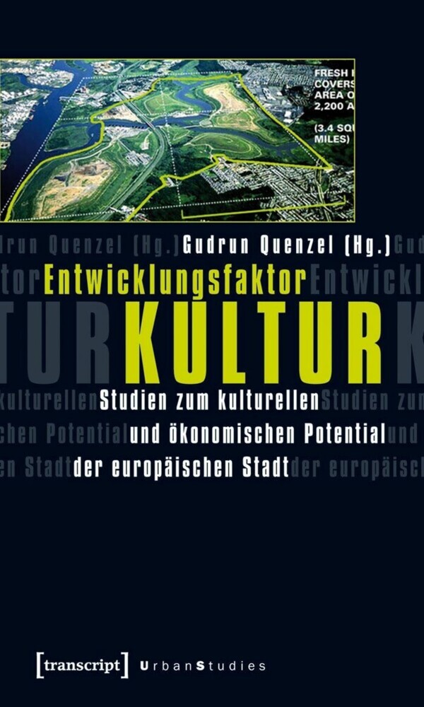 Entwicklungsfaktor Kultur main product photo