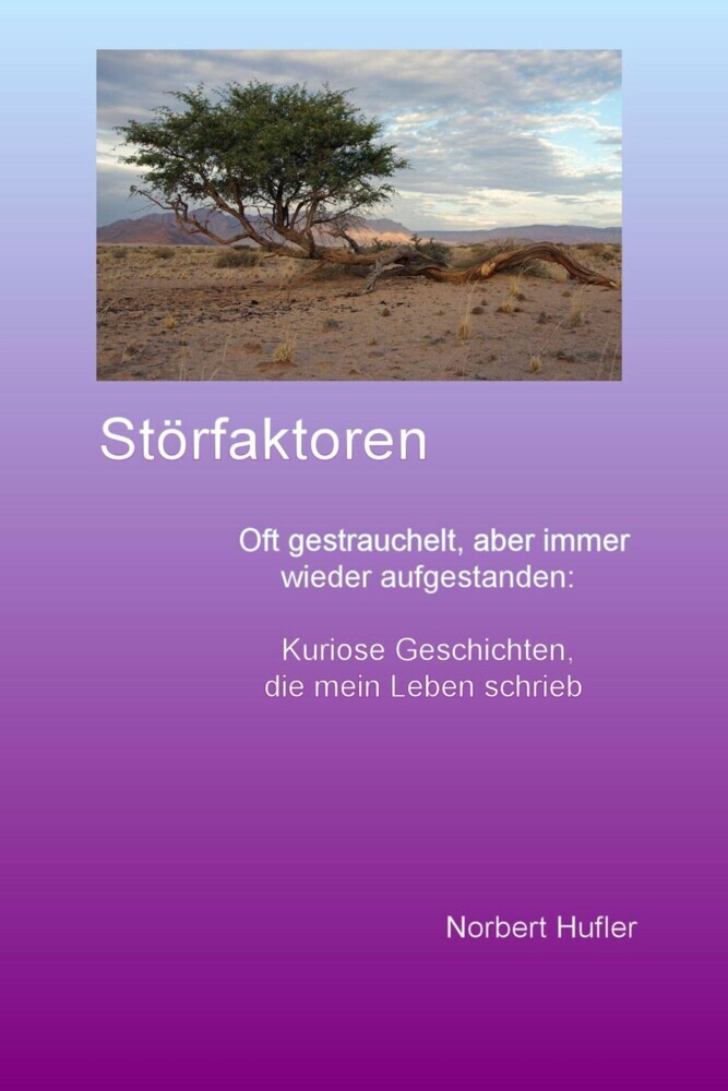 Störfaktoren main product photo