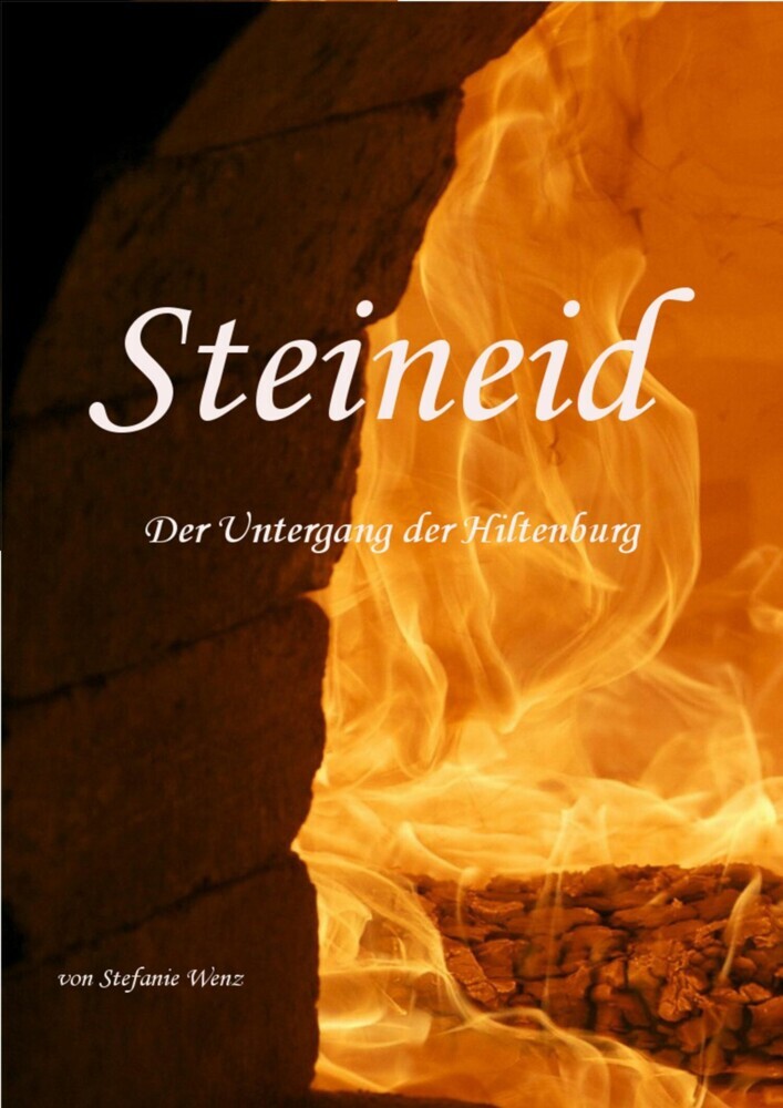 Steineid main product photo