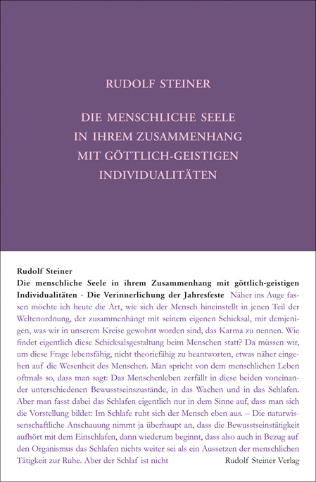 Die menschliche Seele in ihrem Zusammenhang mit göttlich-geistigen Individualitäten main product photo