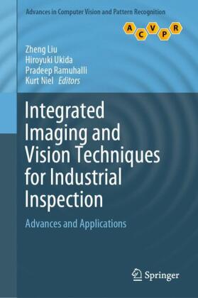 Integrated Imaging and Vision Techniques for Industrial Inspection