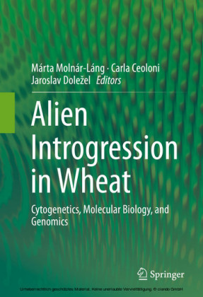 Alien Introgression in Wheat