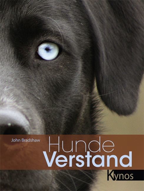 Hundeverstand main product photo
