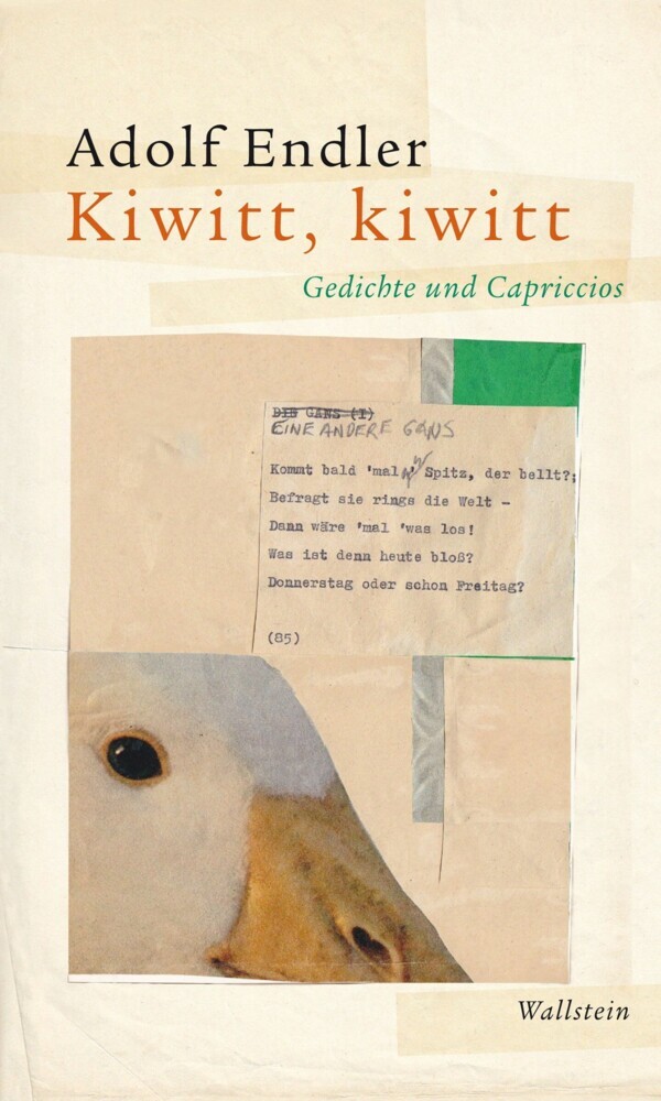 Kiwitt, kiwitt main product photo