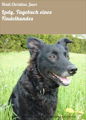 Lady, Tagebuch eines Findelhundes
