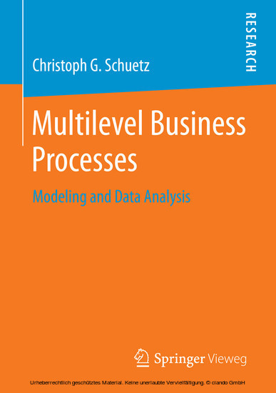 Multilevel Business Processes main product photo