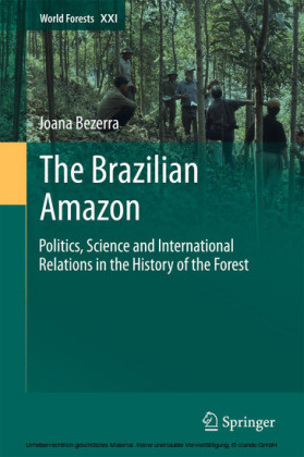 The Brazilian Amazon