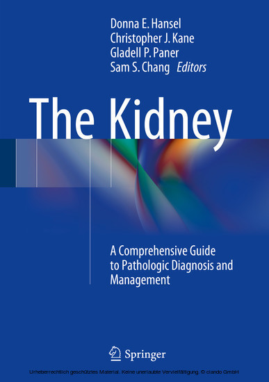 The Kidney main product photo
