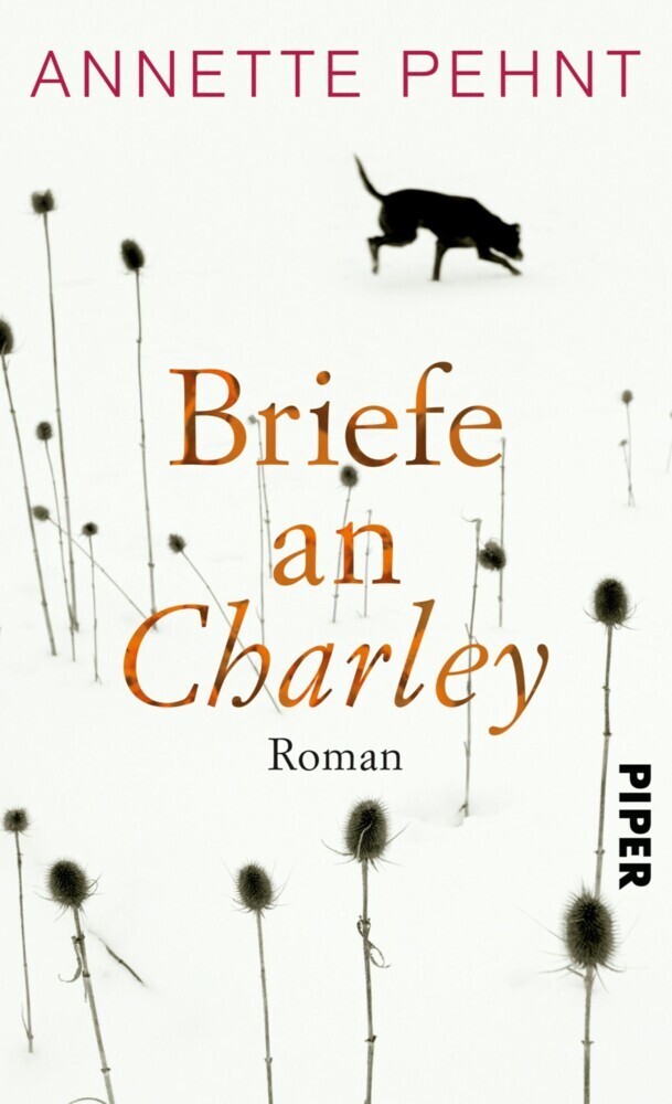 Briefe an Charley main product photo