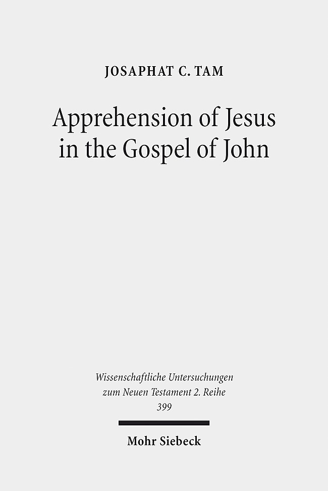 Apprehension of Jesus in the Gospel of John main product photo