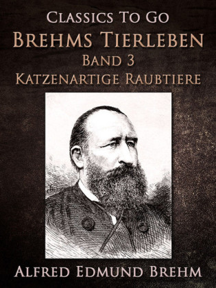 Ein stummer Musikant. Die Geschichte einer Künstlerliebe