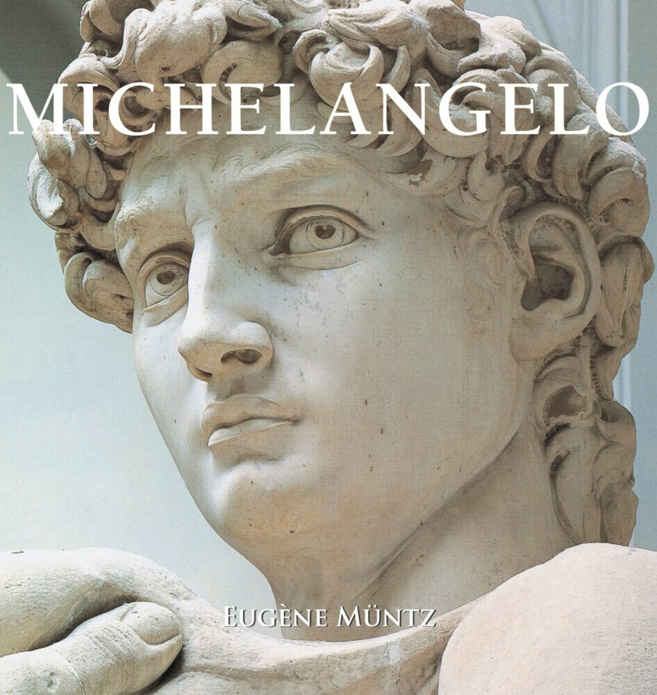 Michelangelo main product photo