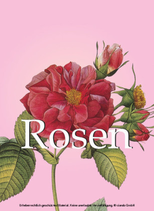 Rosen