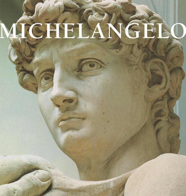 Michelangelo main product photo