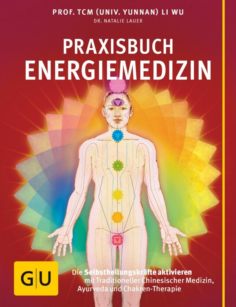 Praxisbuch Energiemedizin main product photo