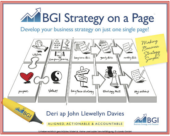 BGI Strategy On A Page main product photo