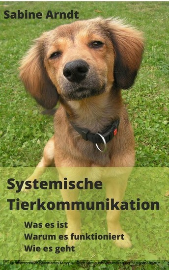 Systemische Tierkommunikation main product photo