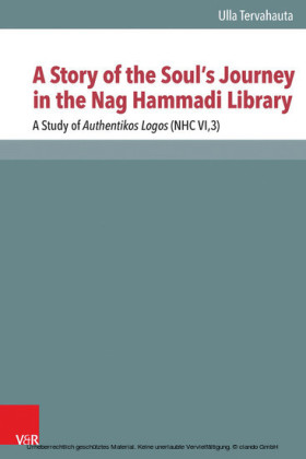 A Story of the Soul's Journey in the Nag Hammadi Library