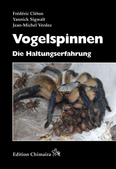 Vogelspinnen main product photo