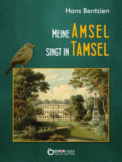 Meine Amsel singt in Tamsel main product photo