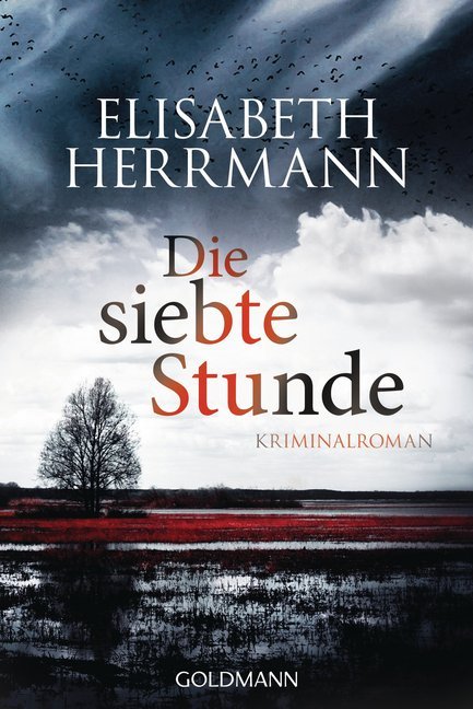 Die siebte Stunde main product photo