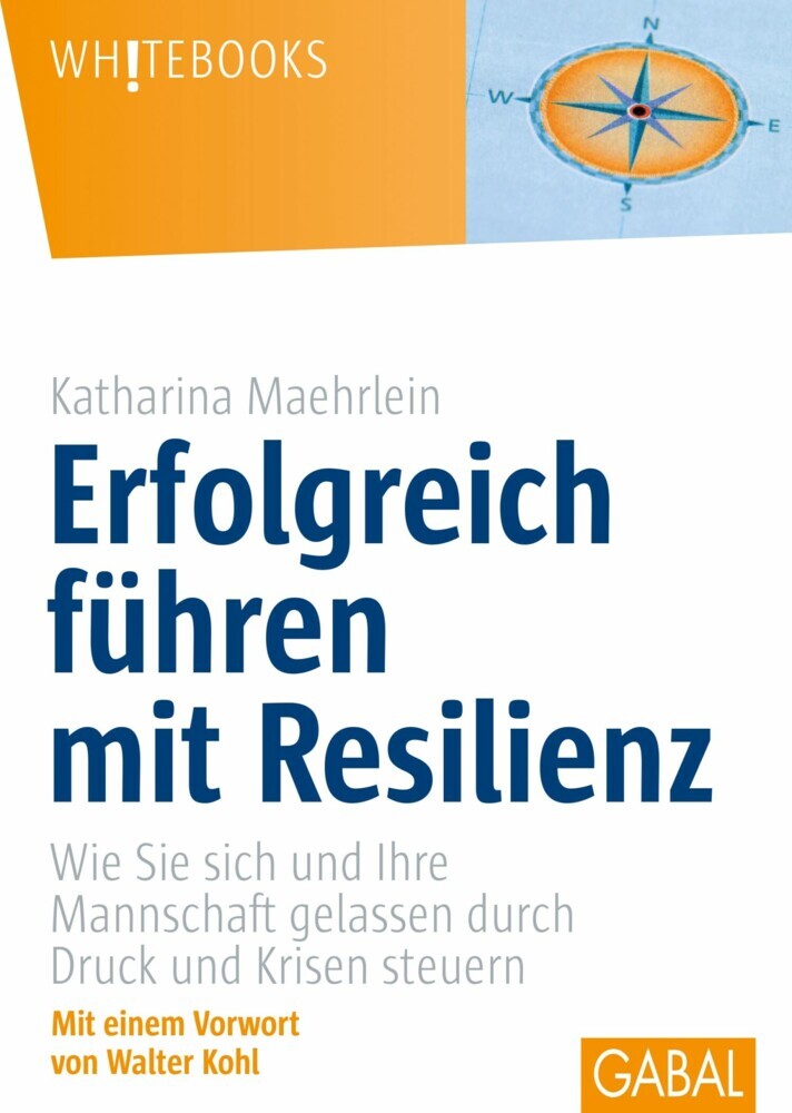 Erfolgreich führen mit Resilienz main product photo