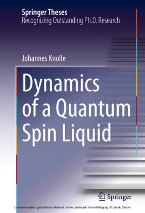 Dynamics of a Quantum Spin Liquid